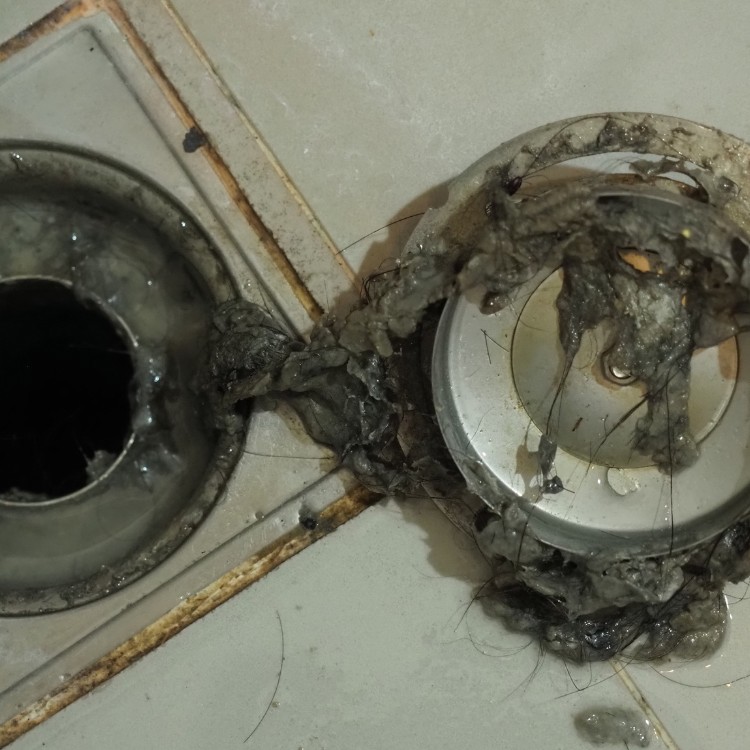 Plumbing services in Springfield, OR